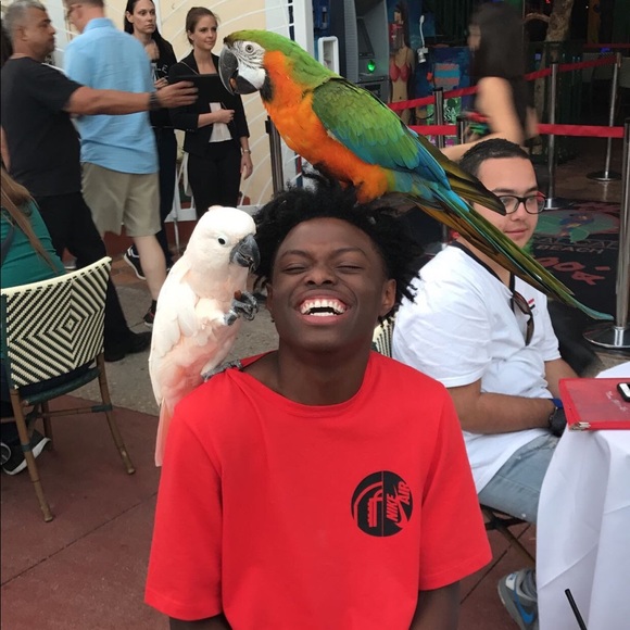 Meet your Posher, Bradley - Picture 1 of 1